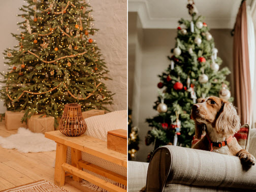 Julgransdags - ta hand om din gran